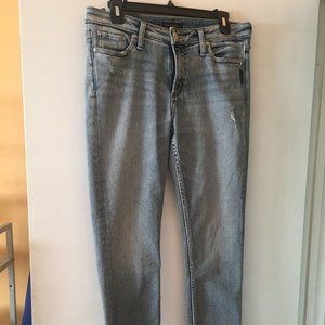 Silver Jeans Co.